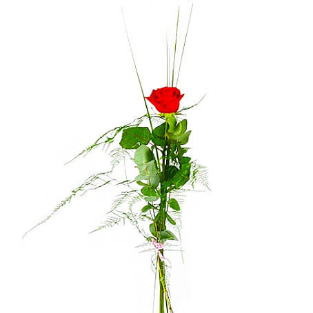 Rosbukett 1 st röd ros