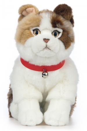 Scottish fold (Katt) - Keycraft Living Nature Nallar & Gosedjur