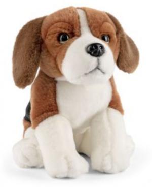 Beagle - Keycraft Living Nature Nallar & Gosedjur