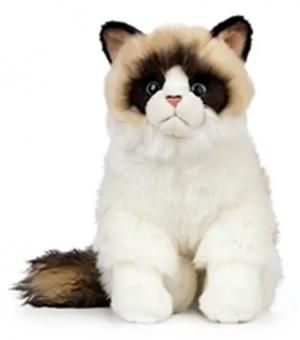 Ragdoll (Katt) - Keycraft Living Nature Nallar & Gosedjur