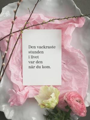 Tavla, Den vackraste stunden doppresent