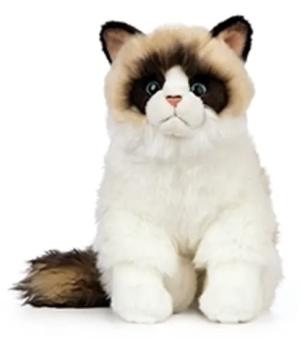 Ragdoll (Katt) - Keycraft Living Nature Nallar & Gosedjur